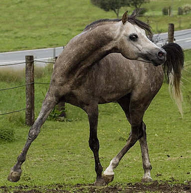 Photo de profil de merryl