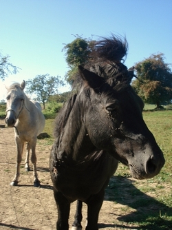 Photo de profil de minicrotte