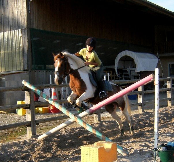 Photo de profil de mulphyne