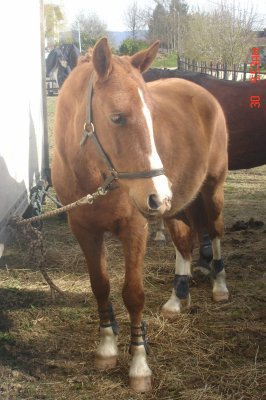 Photo de profil de mymy-73