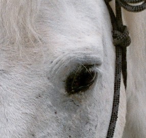Photo de profil de nanou!