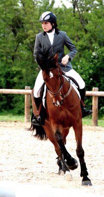 Photo de profil de ninouhorses