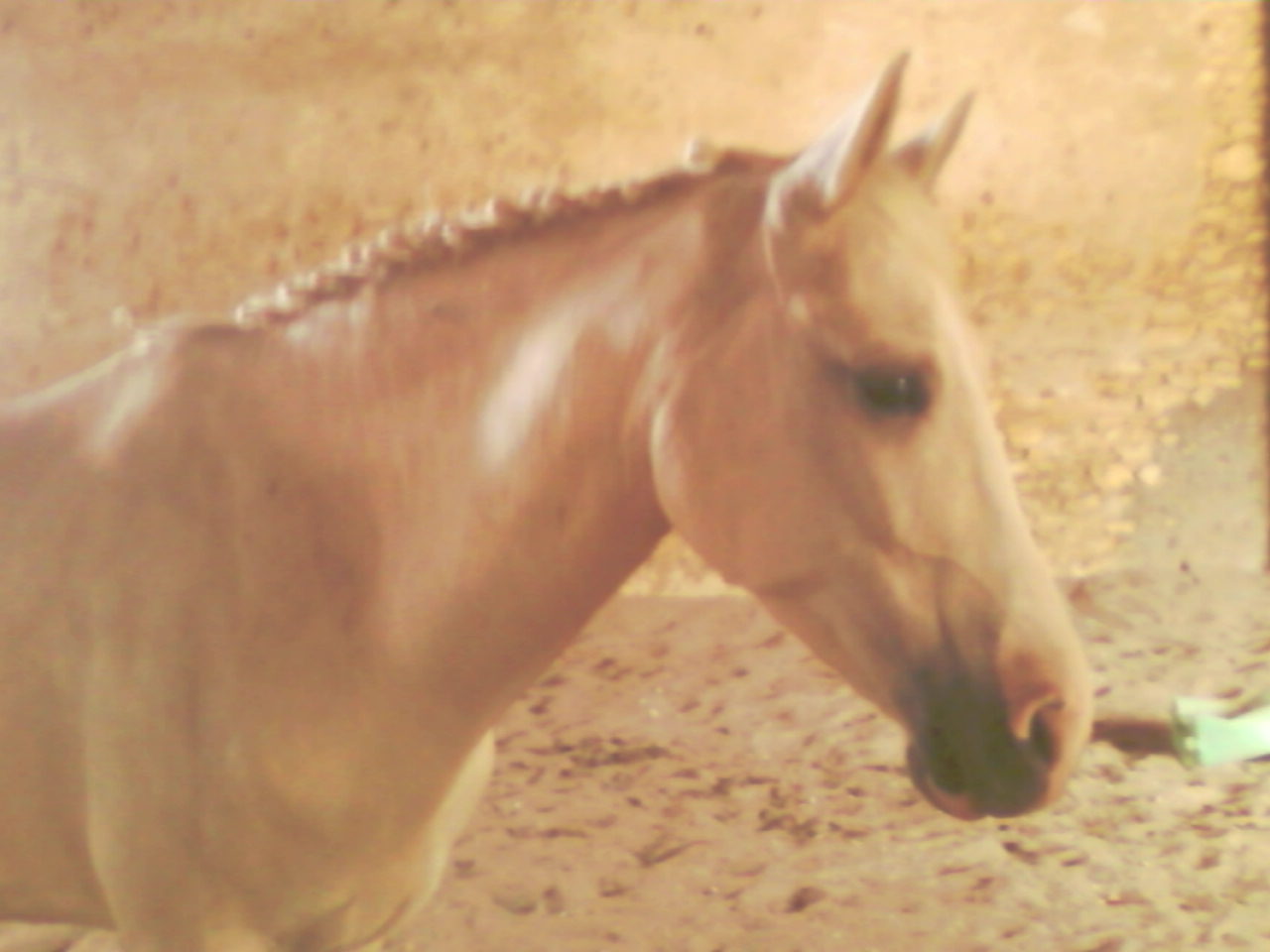 Photo de profil de nuageducottage