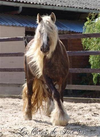 Photo de profil de oisois