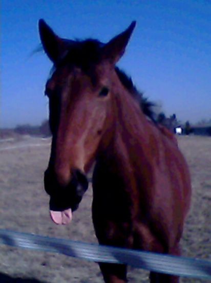 Photo de profil de opale68