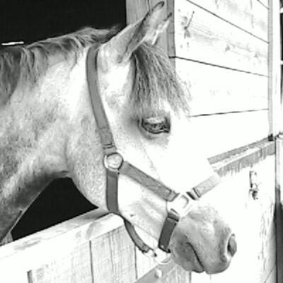 Photo de profil de ophely