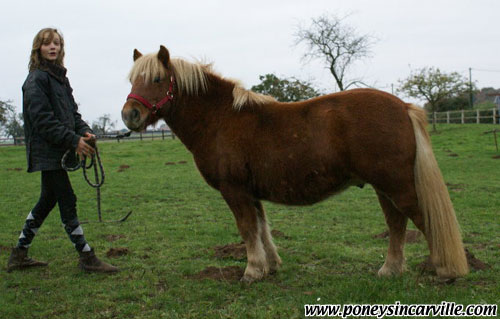 Photo de profil de prunellejtm