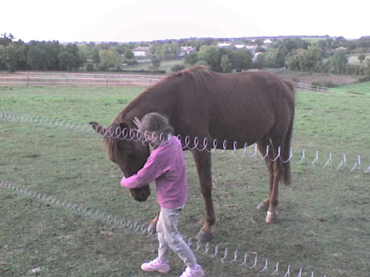 Photo de profil de quaid