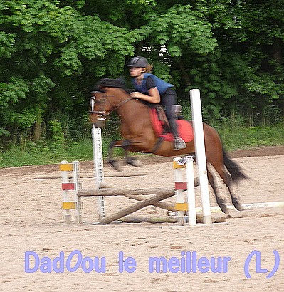 Photo de profil de raphiy