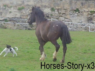 Photo de profil de samantha63