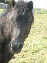 Photo de profil de sasame42