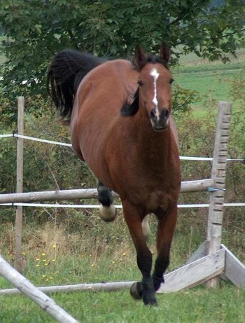 Photo de profil de sonyric