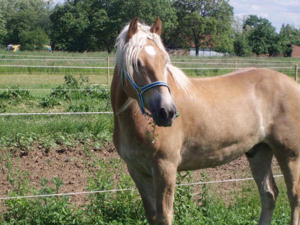 Photo de profil de sorgho67