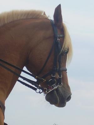 Photo de profil de titemimi123