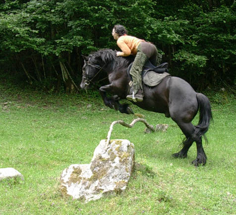 Photo de profil de totoche09