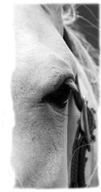 Photo de profil de uchuaia38