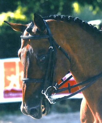 Photo de profil de willye