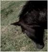 Photo de profil de xnomade