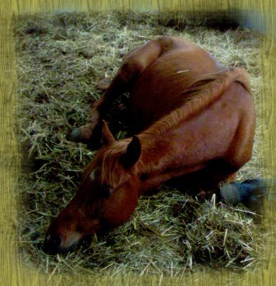 Photo de profil de zaza33