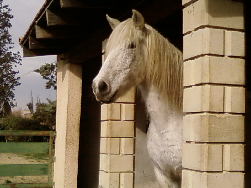 Photo de profil de zouc