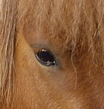 Photo de profil de alexia0083