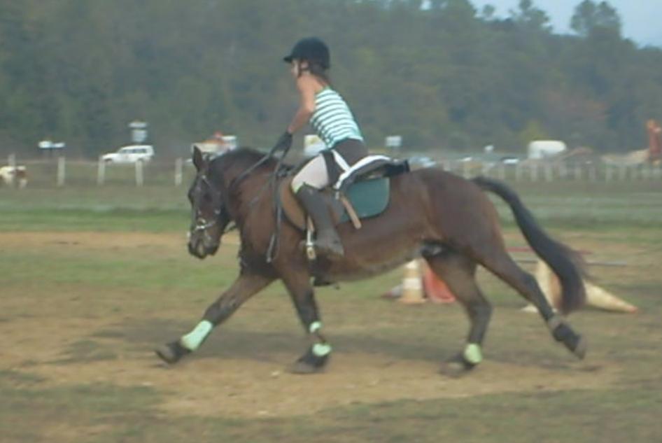 Photo de profil de althena