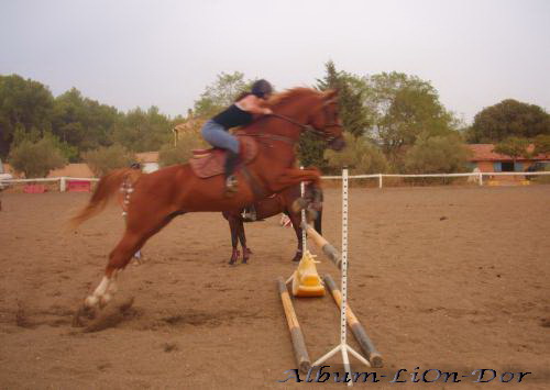 Photo de profil de amandine.b