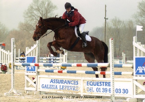 Photo de profil de ansok