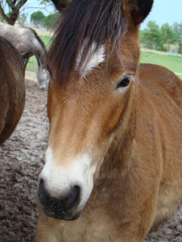 Photo de profil de apolloine