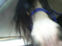 Photo de profil de aragea
