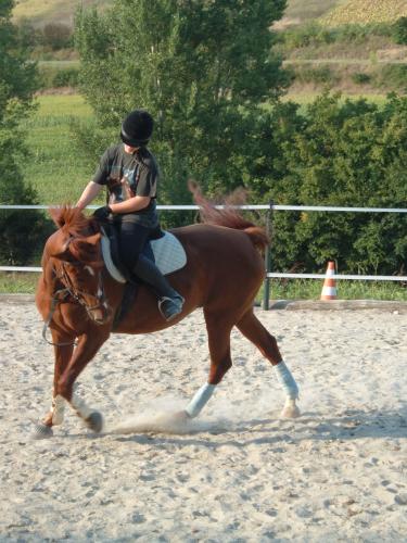 Photo de profil de aurore02a7