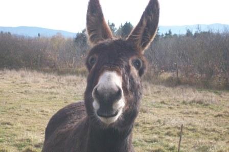 Photo de profil de bartoc