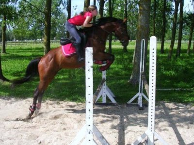 Photo de profil de bobo62