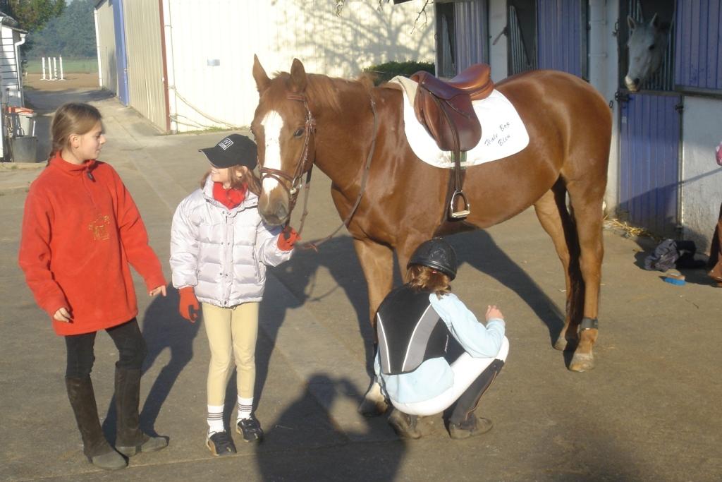 Photo de profil de brisco