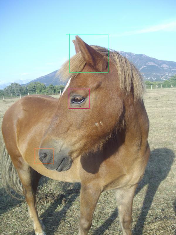 Photo de profil de caramel-et-moi
