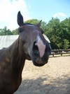 Photo de profil de ch0ukette