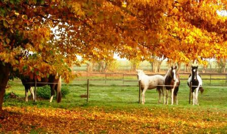 Photo de profil de cheyenneapache