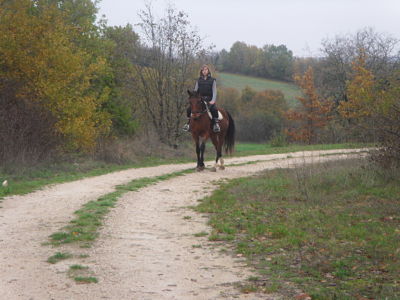 Photo de profil de choupette-46