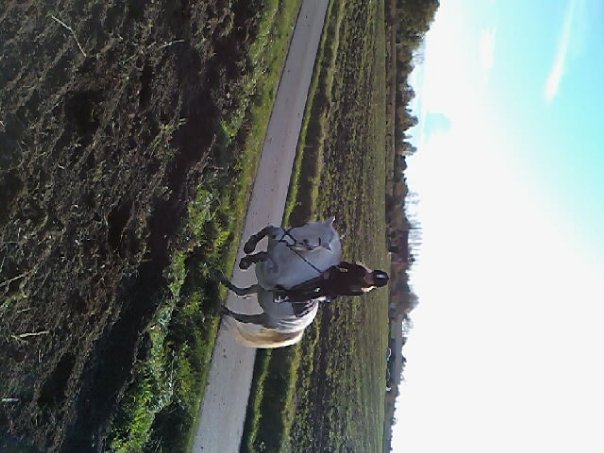 Photo de profil de citrouille--x3