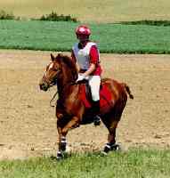 Photo de profil de clara-e-hourasi