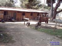 Photo de profil de cocagne83140