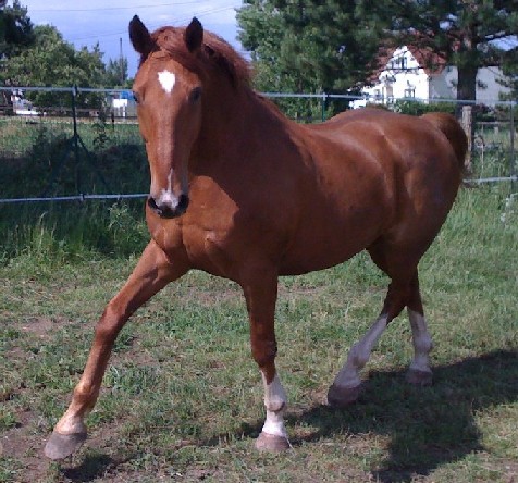 Photo de profil de dorothee.breton