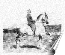 Photo de profil de equi-leger