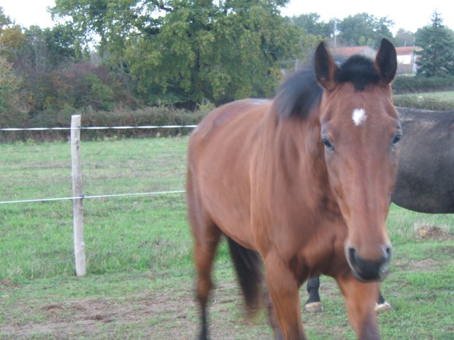 Photo de profil de equi-valence