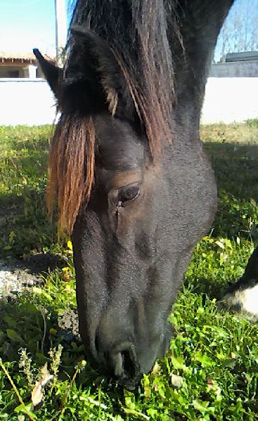 Photo de profil de estel84