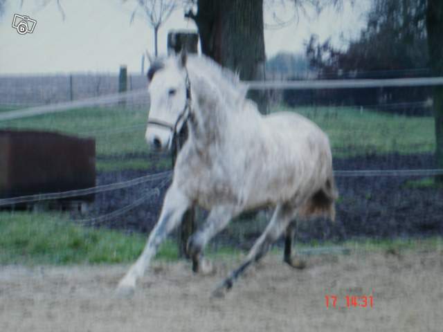 Photo de profil de fhokxs