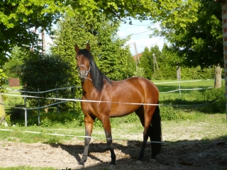 Photo de profil de framboise00