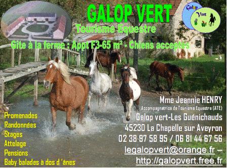 Photo de profil de galopvert