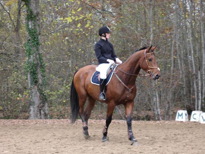 Photo de profil de havane36