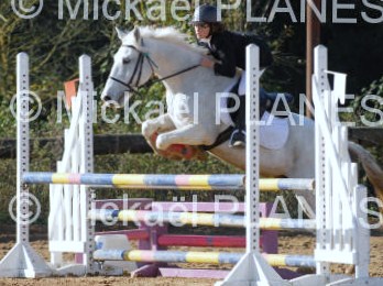 Photo de profil de horse-laura